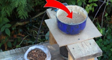 Jak doma oddělit propolis od vosku a nečistot - 6 způsobů